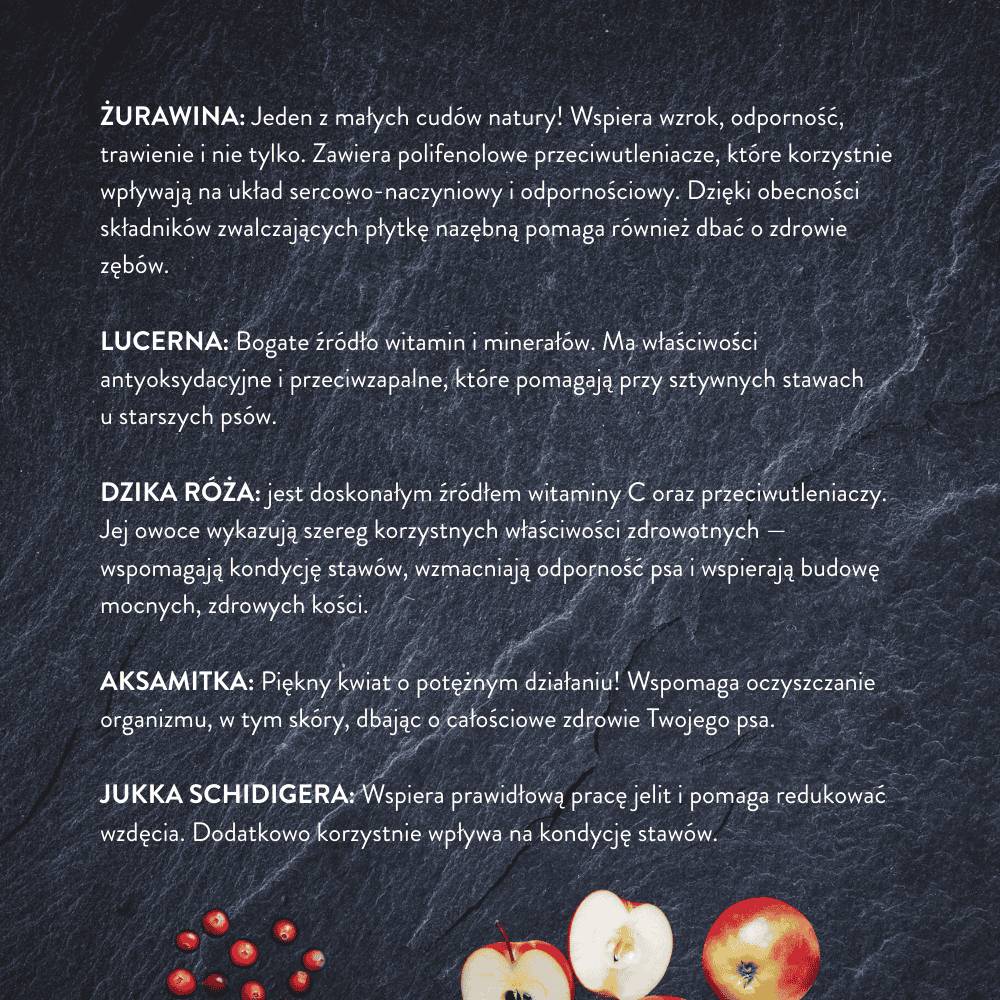 Karma dla szczeniąt kaczka z jabłkiem i żurawiną 3